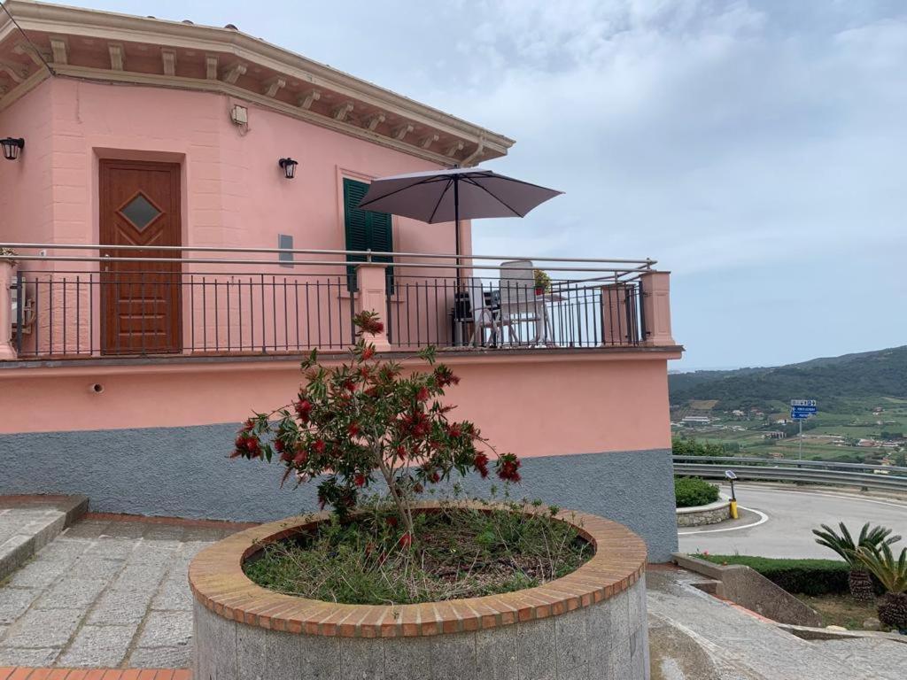 Hollywood Apartment Capoliveri  Exterior photo